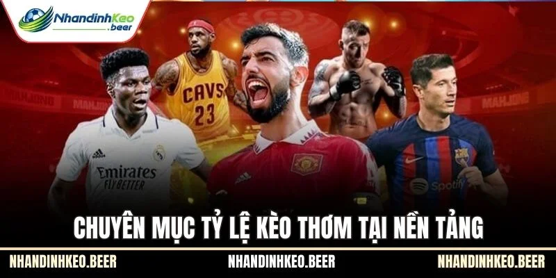 Chuyên mục tỷ lệ kèo thơm tại nền tảng