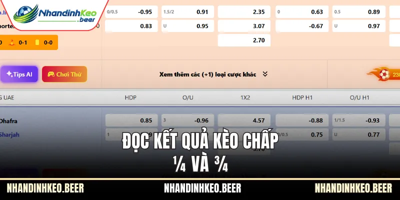 Đọc kết quả kèo chấp ¼ và ¾